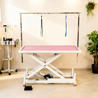 Table de toilettage pour animaux de compagnie électrique pliable en acier inoxydable, table de toilettage pour animaux de compagnie à hauteur réglable, table de toilettage électrique pour animaux de compagnie