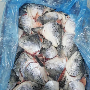 <span class=keywords><strong>Salmone</strong></span> atlantico teste di <span class=keywords><strong>salmone</strong></span> per la vendita - Product Image 2