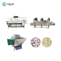 Fabrieksdirecte verkoop volautomatische productielijn voor knoflook, machine voor het reinigen, pellen en sorteren van fruit en groenten