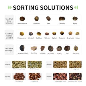 Wesort AI深度学习开心果单溜槽带色选机高达99% 的坚果加工分选精度 - Product Image 3