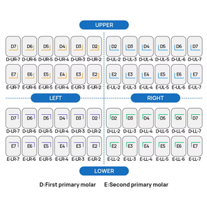 Corone prefabbricate in resina di acciaio inossidabile per la fonte di energia temporanea della turbina dei denti del bambino per l'odontoiatria - Product Image 6