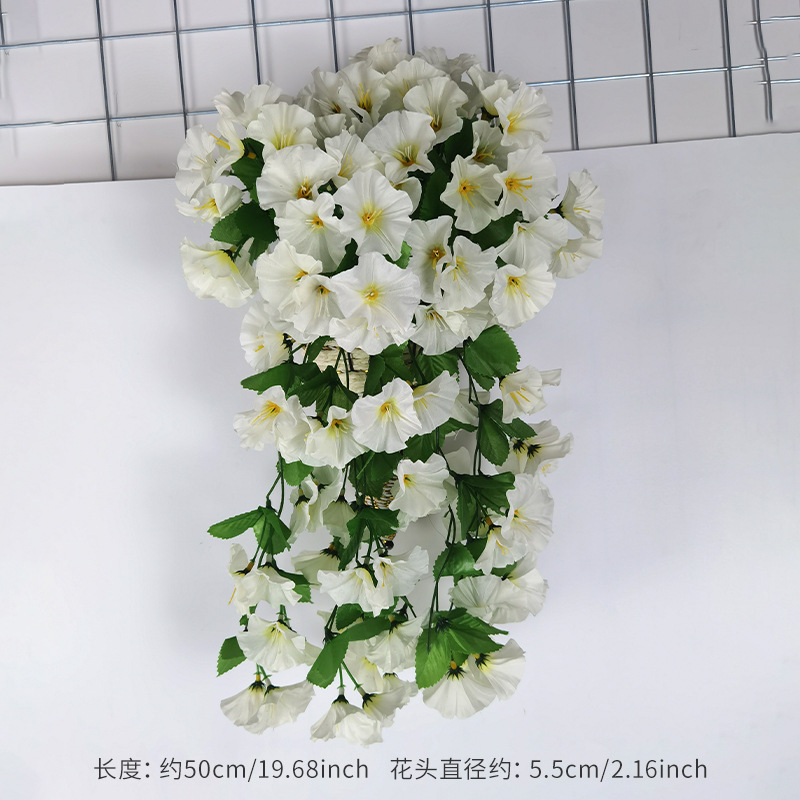 Blanc