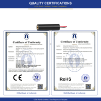 Nouveau module laser UV professionnel 405 nm 100 mW 3,0 V à diode haute puissance, haute précision pour gravure, polymérisation, fluorescence, taille compacte, certifié CE