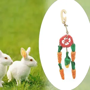 Juguete Masticable para Hámsteres, Cobayas y Gerbillas, Paja de Luffa para Masticar y Limpiar los Dientes, Juguete para Masticar para Conejos - Product Image 4