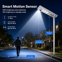 Lampadaire solaire intégré avec caméra 60W 80W, étanche IP65, détecteur de mouvement, éclairage LED pour routes extérieures et projets