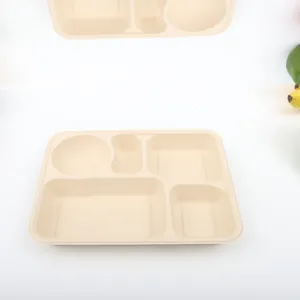 Truly eco-friendly plant Fiber Bento Boxes biodegradable No PFAS 5-Compartment Food Containers for School Work and Travel