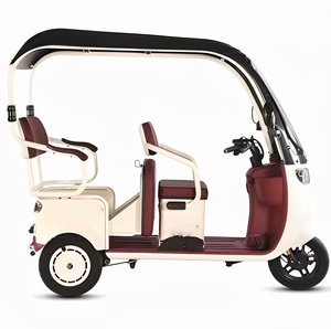 Tricycle électrique à 3 roues préféré des jeunes carrosserie ouverte voiture en acier 200kg charge utile motorisée CEE/Dot certifiée pour <span class=keywords><strong>passager</strong></span> - Product Image 3