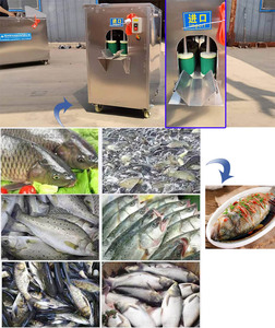 Macchina Automatica per la Pulizia, Sventramento e Squamatura del Pesce per Impianti di Lavorazione Ittica - Product Image 3