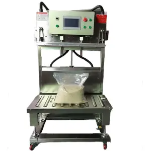 External Vertical Nitrogen Flushing Quilt Pillow Powder Food Vacuum Packaging Sealer Machine