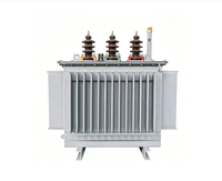 Transformateur de distribution d'énergie général 3 phases 110 kV 315 kVA SH15, bobinage en aluminium ONAF Dyn11, équipe technique d'économie d'énergie