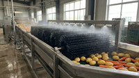 Brosse à rouleaux industrielle modulaire en caoutchouc imperméable personnalisée pour le lavage des fruits et légumes, le nettoyage des balayeuses routières et des convoyeurs