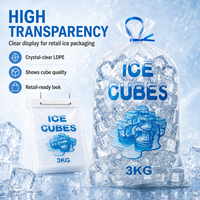 Sacs d'emballage pour glace en plastique transparent de qualité alimentaire, avec logo personnalisé, résistants aux fuites, en LDPE, pour glaçons