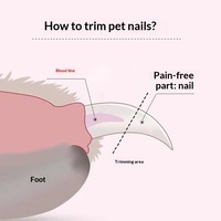 Coupe-ongles et lime à ongles USB transfrontaliers pour animaux de compagnie avec lumière LED pour la coupe des griffes de chiens et de chats, fournitures de toilettage en provenance de Chine