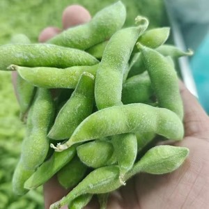 Edamame décortiqués surgelés IQF, Mukimame, conservant la fraîcheur naturelle et la couleur verte, pour les distributeurs alimentaires en gros, OEM - Product Image 2