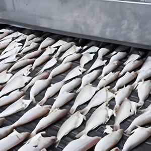 نفق مجمد سريع التجميد عالي الجودة لآلة تجهيز الأغذية الصغيرة Iqf ، - Product Image 3