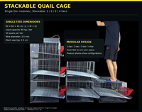 Nouvelle cage d'élevage de cailles modulaire empilable à un seul niveau, équipement d'élevage avicole pour oiseaux pondeurs, logement peu encombrant, galvanisé