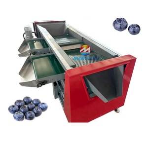 Equipo Automático de Clasificación de Bayas, Máquina Clasificadora de Tamaño de Arándanos para <span class=keywords><strong>el</strong></span> Procesamiento de Arándanos - Product Image 4