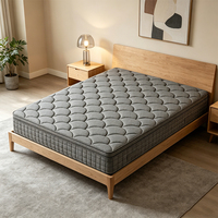 Matelas hybride durable de 10 pouces à ressorts ensachés, isolation de mouvement moderne, silencieux, idéal pour chambre à coucher, chambre d'amis, hôtel
