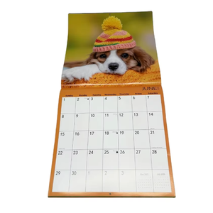 Promotion Custom Photo Frame Office Wall Calendar Cheap Saddle Stitch Spiral Binding Daily and Monthly Printing Gift Option
