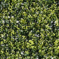 Panneaux de feuilles de Desmodium jaunes artificielles réalistes, ignifuges, écologiques, anti-UV, pour décoration extérieure, 50*50cm, mur végétal