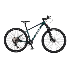 Loopwieler Fabrikant Hot Verkoop Hoge Kwaliteit 29 Inch Mountainbike Koolstofvezel Frame Mtb Fietsen 29 ''Mountainbikes