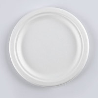 Boîte à lunch jetable biodégradable de canne à sucre et de bagasse de 10 pouces maintenant disponible pour le marché des EAU