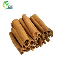 Extrait de Cannelle Pure Naturelle en Poudre en Gros pour Usines – Extrait Herbal