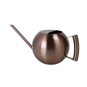 Arrosoir en acier inoxydable de 1L, petit arrosoir de jardinage avec poignée pour arroser les plantes, outil de jardinage pour fleurs - Product Image 5