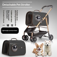 Poussette pour animaux de compagnie avec porte-chien amovible, design léger et pliable pour petits animaux et chats