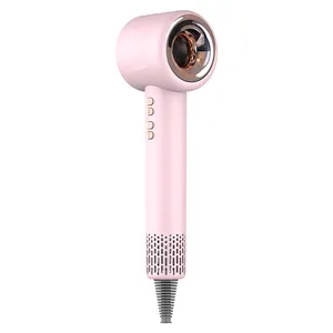 Professional CE Certified Negative Ionic Hair Dryer Leafless Home Appliance Best Gift for Mother and Girl Friend
