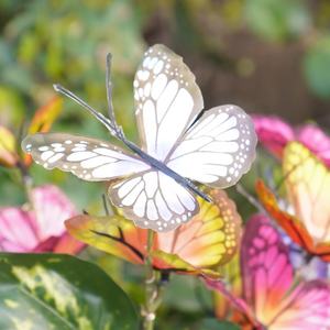 Luces de mariposa solares de fábrica, <span class=keywords><strong>luz</strong></span> decorativa para patio/<span class=keywords><strong>terraza</strong></span>/Iluminación de canal Ip65, luces solares impermeables para exteriores - Product Image 6