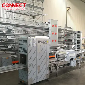 Full automatic CE ISO SONCAP Poultry Farm Machine H type Battery Feeding System Cages Egg Layer Chicken Cages for 5000 birds