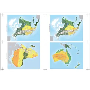 1073D Tyvek Printing Paper continent mat Maps tear-resistance