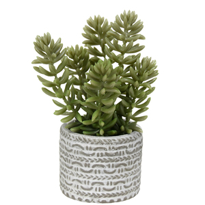 Succulenta Artificiale in Plastica Multicolore a Punte, Finta Sedum per Mini Vasi, Terrari e Decorazioni da Tavolo per Interni - Product Image 5
