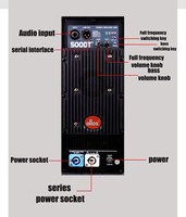 Unidad de Amplificación de Audio de Alta Potencia de un Solo Canal Clase D, Carcasa Metálica Resistente, Hardware de Mejora de Sonido con Estándar