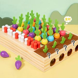 Juego de Rompecabezas Ecológico para Niños, Juego de Lógica y Pensamiento, Juego de Cosecha de Zanahorias - Product Image 5