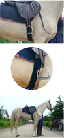 Nouvelle mode cheval circonférence haute qualité 2022 équipement équin produits cheval durables