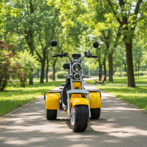 Triciclo de Aluminio para Adultos, Scooter de 3 Ruedas, 3 Velocidades, Frenos de Disco, Batería de Litio sin Escobillas de 60v 2000w/3000w, Y20 de Alta Potencia - Product Image 1