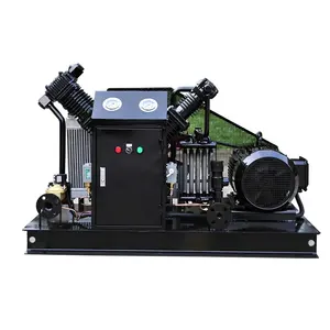 C4H10 Butan vollständig ölfreier Kompressor 1,1 kW kleiner Gaskompressor mit niedrigen Betriebskosten Industriekompressor