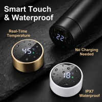 Bouteille d'eau intelligente avec affichage de la température LED, 500 ml, en acier inoxydable isolé sous vide, avec logo personnalisé, mug d'entreprise, cadeau