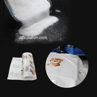 Hit Press Machine T-Shirt Impression 30Cm Dtf Imprimante Dual Xp600 Avec Shaker et Four