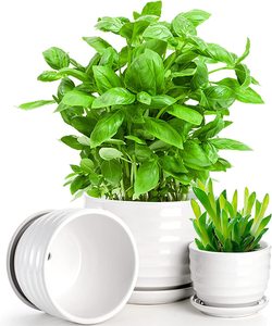 Fasmov vasi per <span class=keywords><strong>piante</strong></span> in ceramica foro di drenaggio e piattino rotondo fiore moderno <span class=keywords><strong>Cactus</strong></span> succulento tutte le <span class=keywords><strong>piante</strong></span> di casa <span class=keywords><strong>fiori</strong></span> succulente bianco - Product Image 4