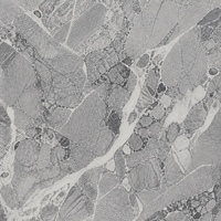 Dalle de pierre frittée Alpine Grey Time Glaze avec veinage blanc pour murs et sols de cuisine, projets intérieurs d'hôtels et villas