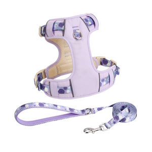 Tali kekang anjing neoprena, bisa disesuaikan pola buah cetak anyaman bernapas nyaman untuk semua ukuran anjing - Product Image 3