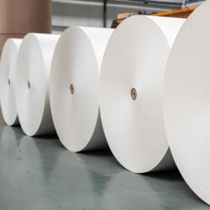 ม้วนกระดาษเคลือบ PE คุณภาพสูงสำหรับบรรจุภัณฑ์อาหาร - Product Image 1