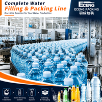Solution complète pour l'embouteillage d'eau 8000BPH : Machine d'embouteillage d'eau, filtre et machine de remplissage et d'emballage