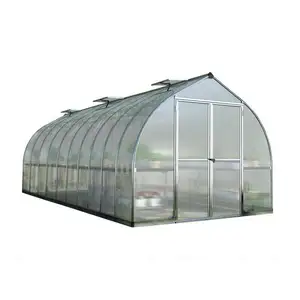 Lage Kosten Enkele Tunnel Groene Huis Voor Fruit/Bloemen/Groente Tomaat/Sla/Komkommer/Peeper Met hydrocultuur/Irrigatie/Aquapo