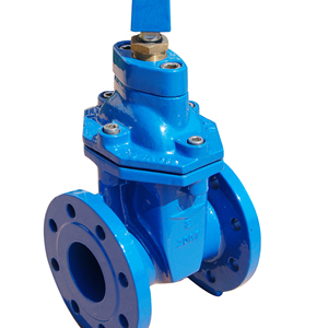 Vannes à Double bride pour les systèmes d'approvisionnement en eau - Product Image 2