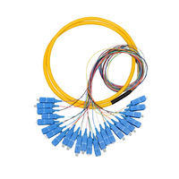Pigtail de Fibra Óptica Monomodo de 24 Hilos con Cubierta de PVC/LSZH, Conectores SC/FC/LC Codificados por Color para FTTH, 1 Año de Garantía