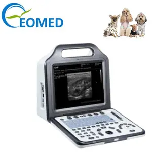 12.1 Inch Hd Resolutie Lcd Dierenarts Ultrasound Scanner B/W Dier Ultrasone Machine Aanbieden Professionele Software BW21Avet